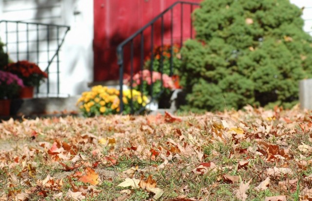 15 серьёзных ошибок, которые нельзя допустить осенью в саду