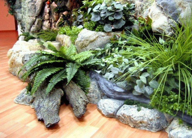 Сад камней в интерьере — особенности создания и выбор растений