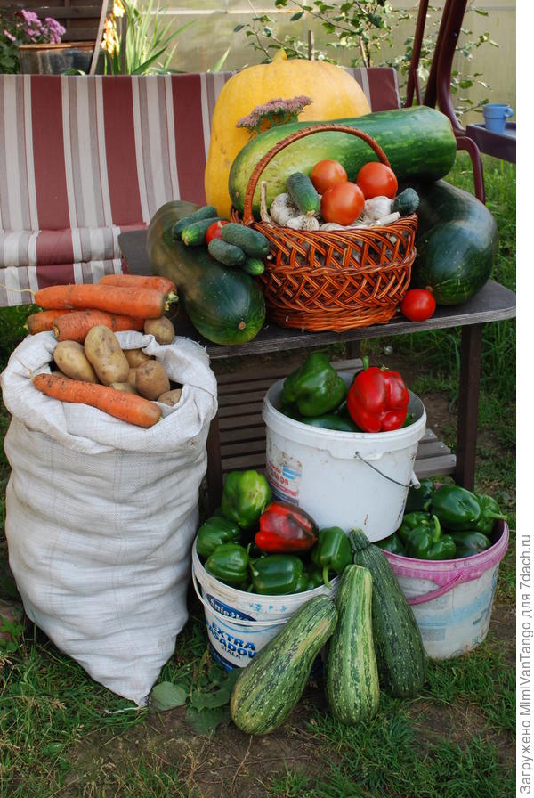 Домашняя работа №2: маленький огород – большой урожай