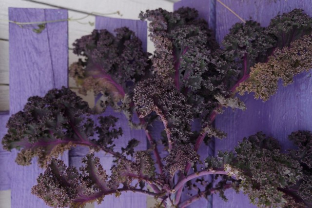 7 полезных и вкусных фиолетовых овощей, которые я выращиваю