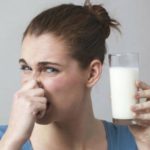Почему молоко воняет коровой